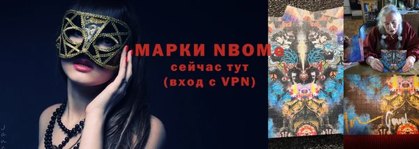 стаф Алзамай