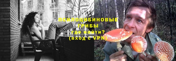 ПСИЛОЦИБИНОВЫЕ ГРИБЫ Аркадак