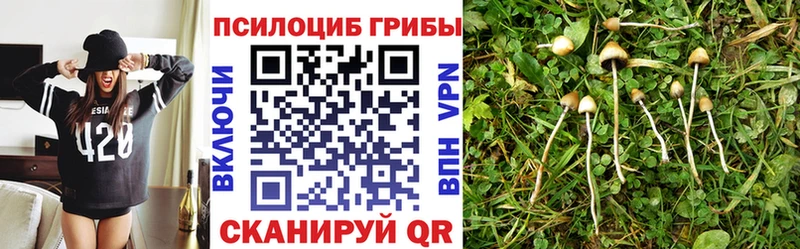 Псилоцибиновые грибы мухоморы  Верхнеуральск 